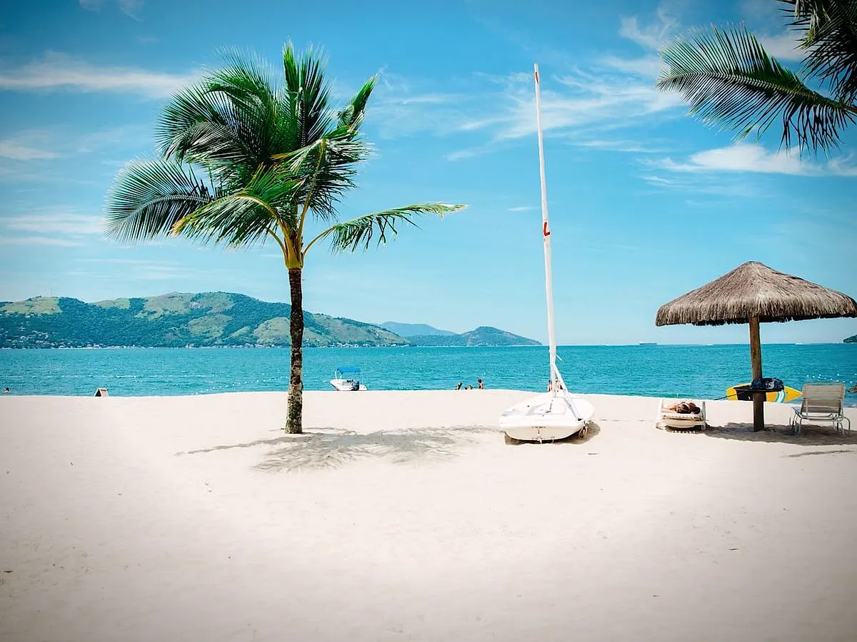 Palm-lined beach