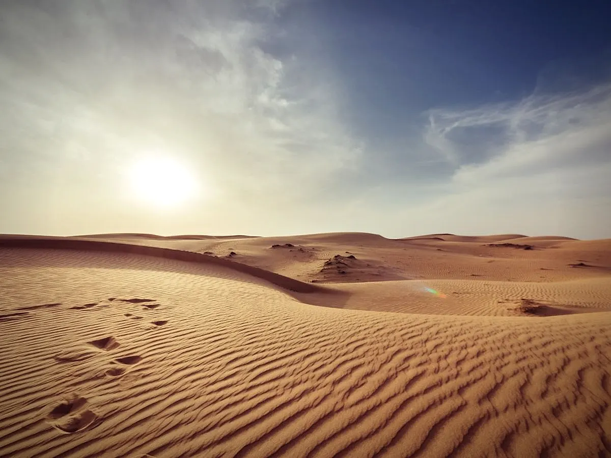 Golden desert dunes