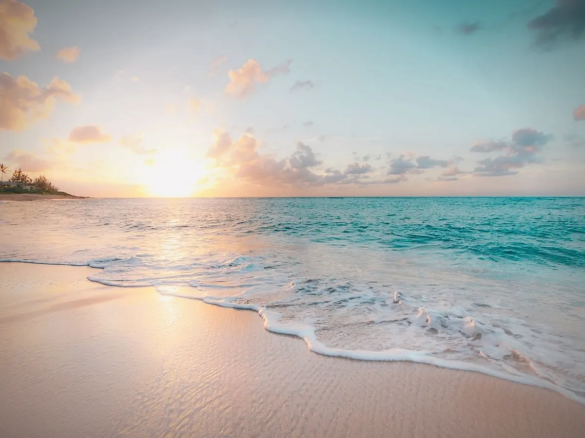Serene shoreline at sunset